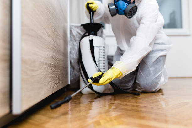 Best Pest Prevention Services  in Bay Pines, FL