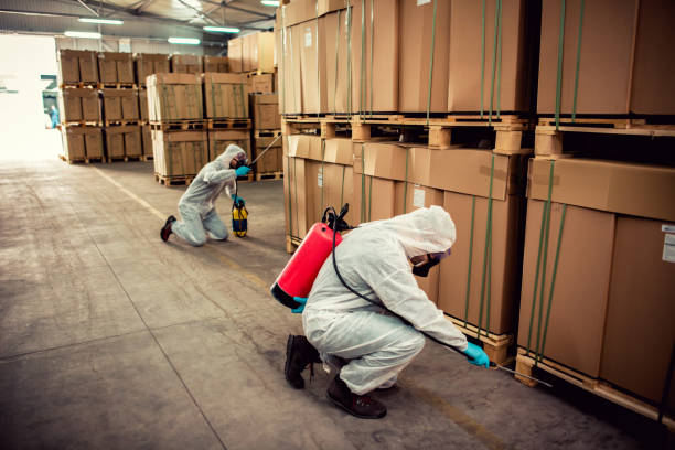 Best Exterminator Services  in Bay Pines, FL