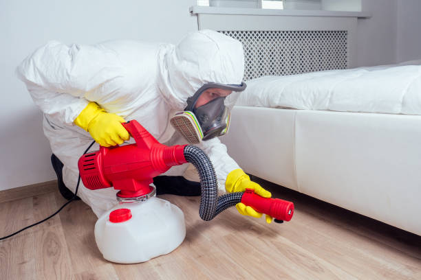 Pest Prevention Services in Bay Pines, FL